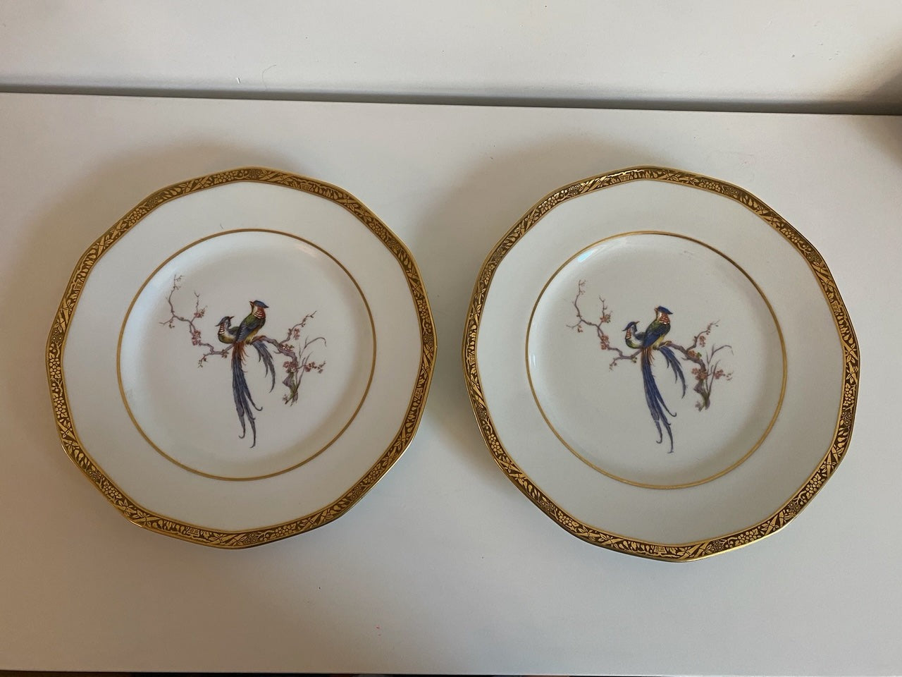 Pair of Theodore Haviland Bird in Cherry Branch Plates