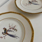 Pair of Theodore Haviland Bird in Cherry Branch Plates