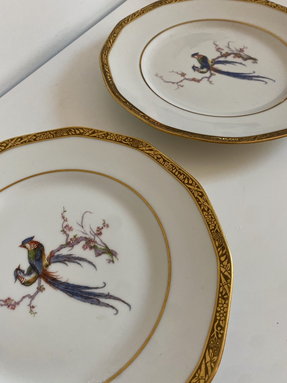 Pair of Theodore Haviland Bird in Cherry Branch Plates