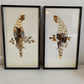 Pair of Framed Hunting Birds (Made from Butterflies)