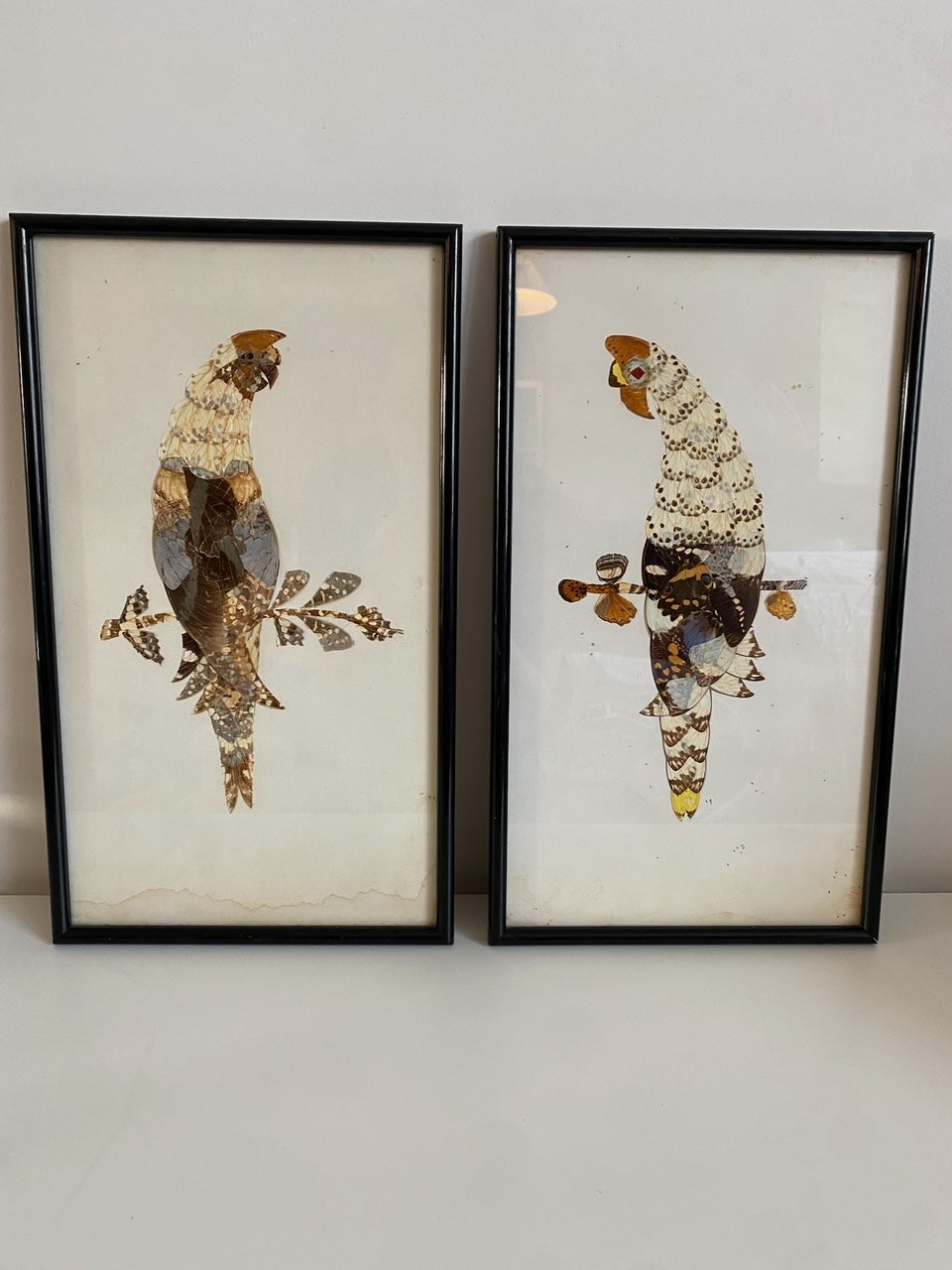 Pair of Framed Hunting Birds (Made from Butterflies)