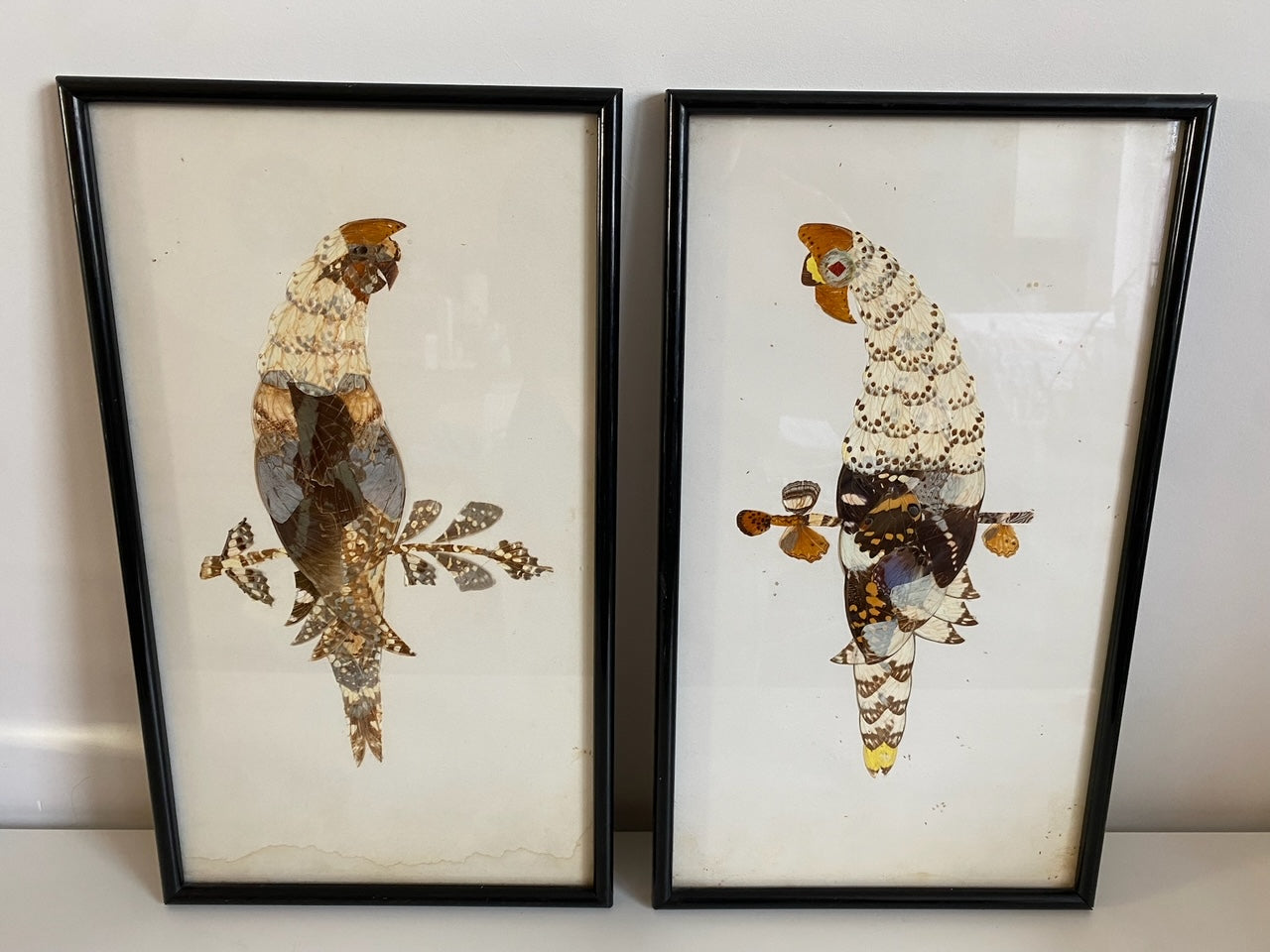 Pair of Framed Hunting Birds (Made from Butterflies)