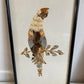 Pair of Framed Hunting Birds (Made from Butterflies)