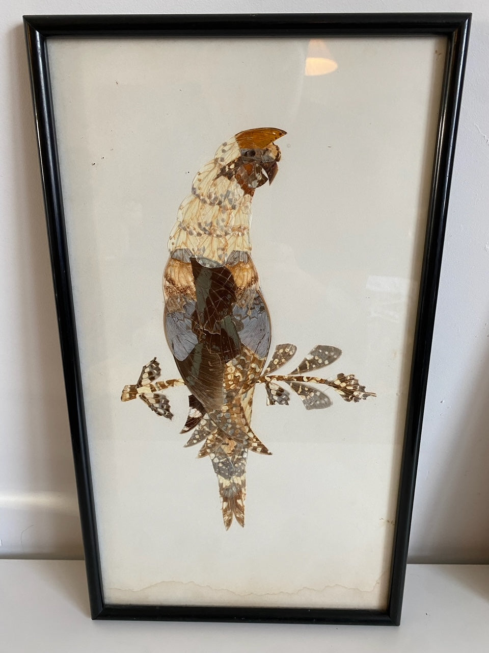 Pair of Framed Hunting Birds (Made from Butterflies)