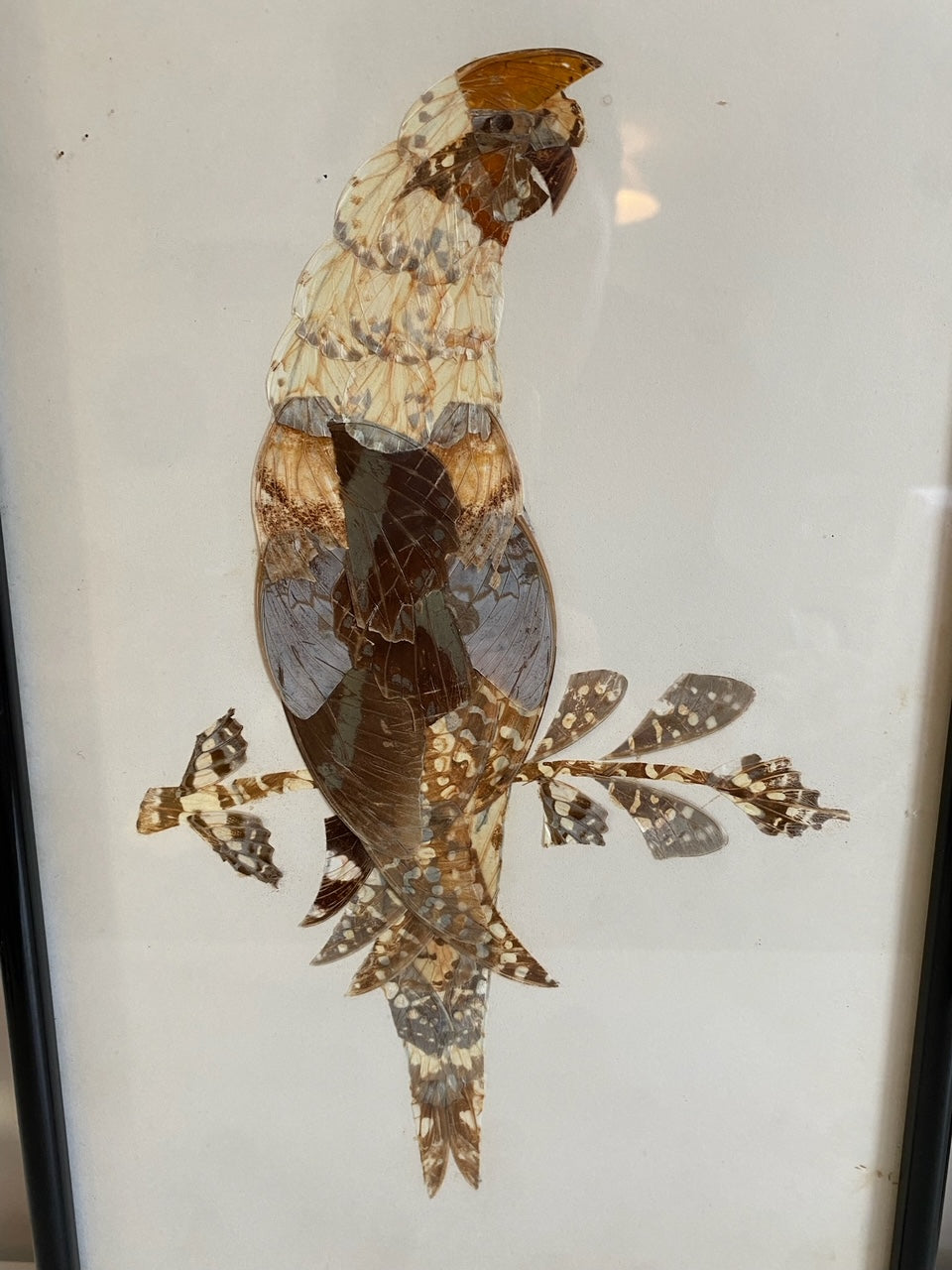 Pair of Framed Hunting Birds (Made from Butterflies)