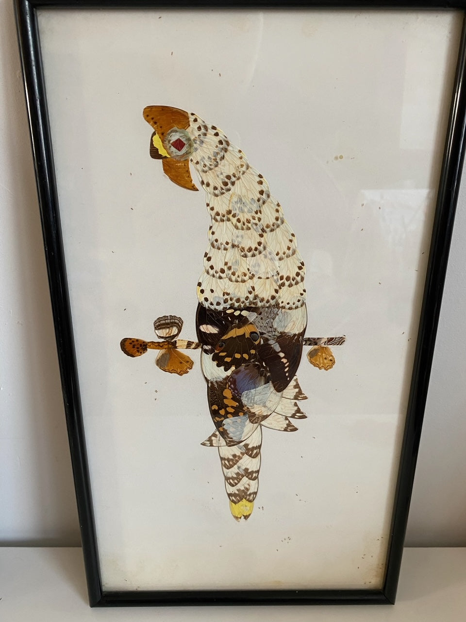 Pair of Framed Hunting Birds (Made from Butterflies)