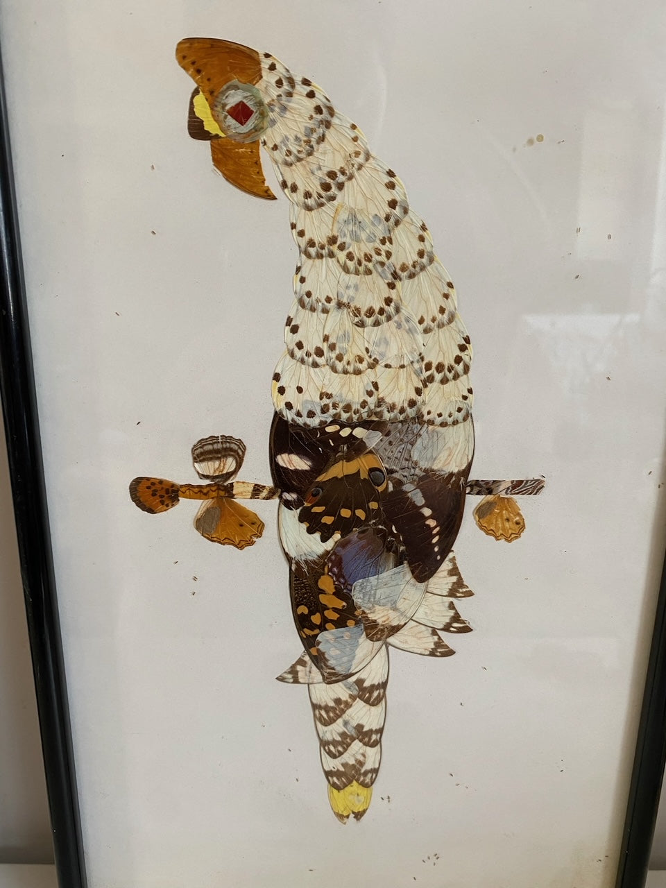 Pair of Framed Hunting Birds (Made from Butterflies)