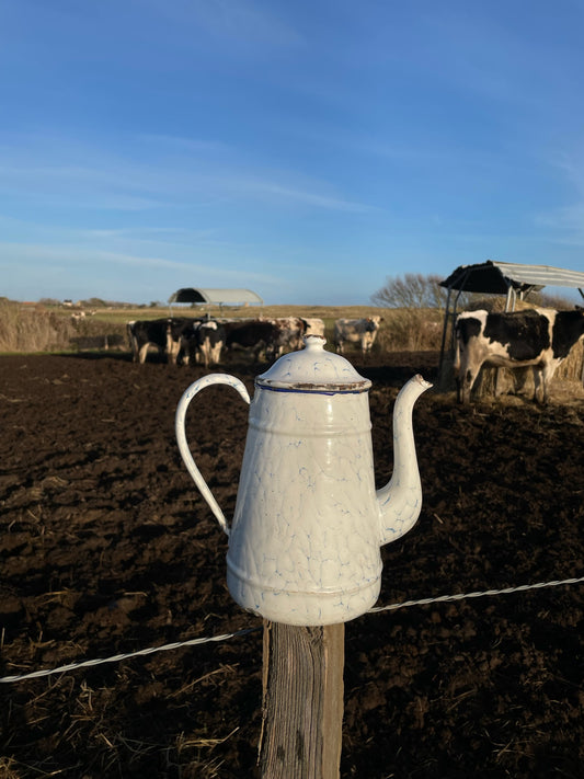 Vintage Enamel "Cafetière" Coffee Pot