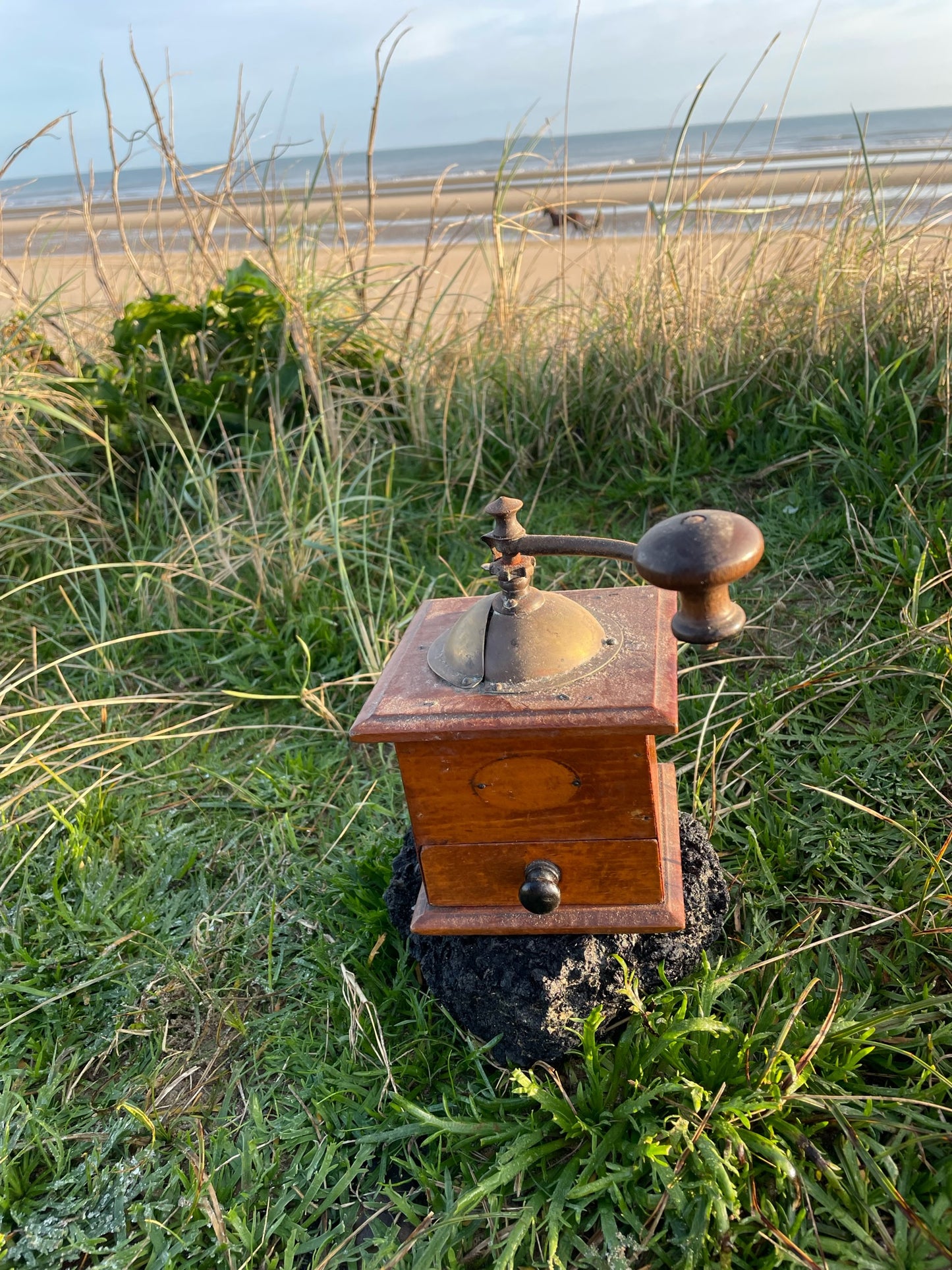 1920s Moulin de Café (Coffee Grinder)