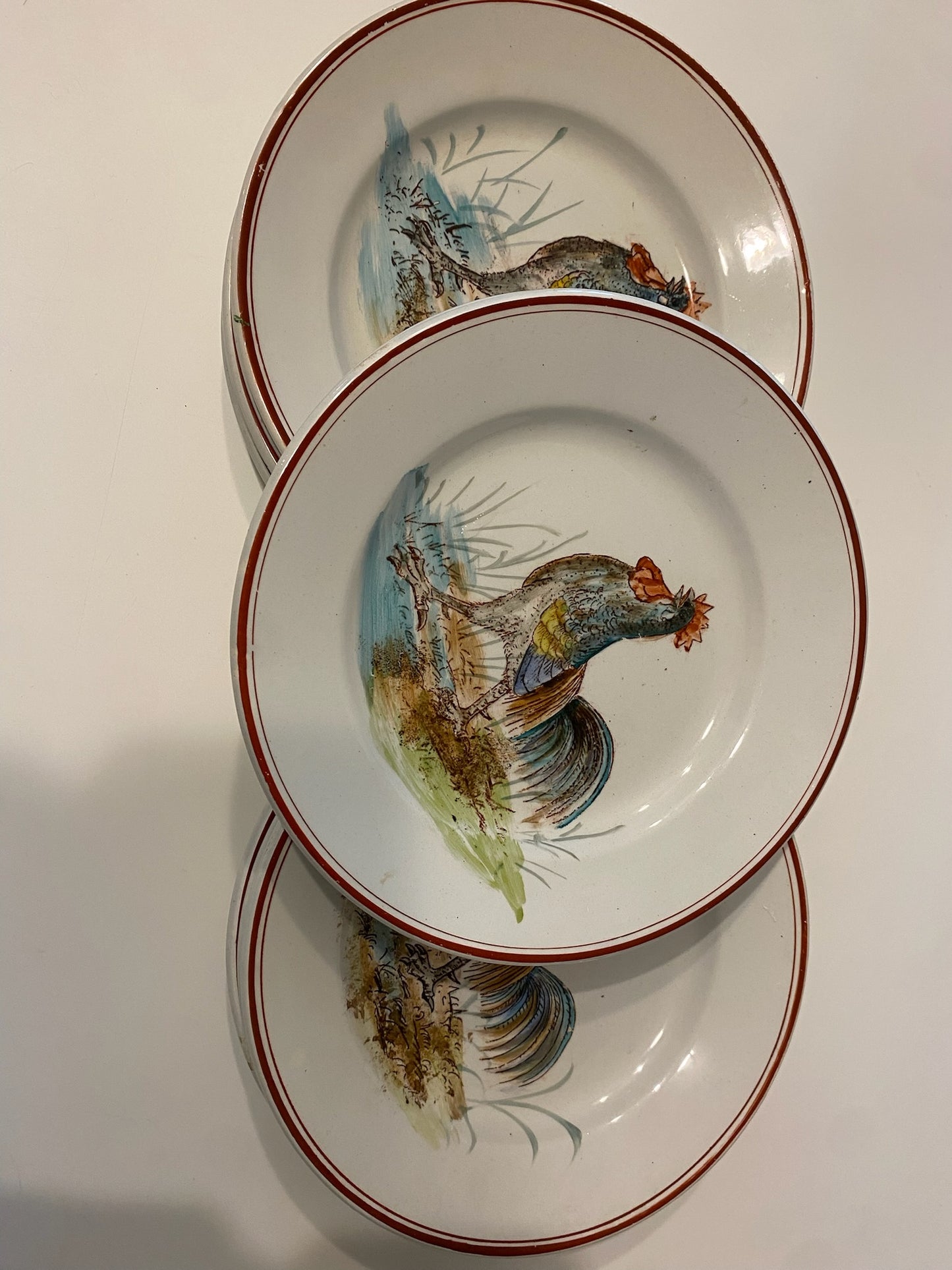 Set of 12 Hand-painted Vintage Rooster Plates